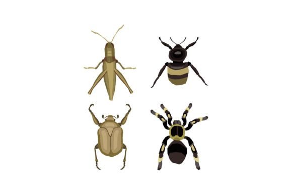 Insect Vector: Graphics and Freebies for Creative Design